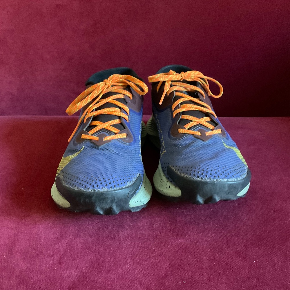 Nike Pegasus Trail 2 GTX - Picture 4 of 9